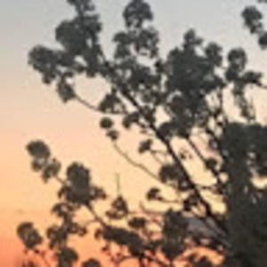 Meet your Posher, Madoka